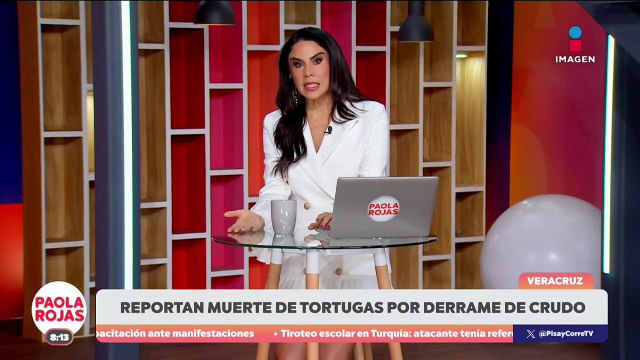 Derrame de crudo afecta fauna marina en Veracruz y Tabasco | DPC con Paola Rojas
