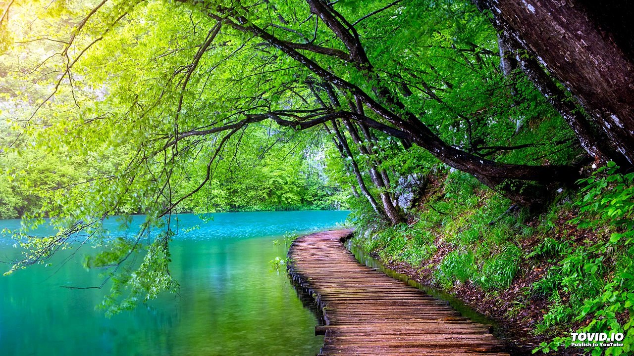 פקודי UN JUIF PARFAIT | Paracha de la semaine