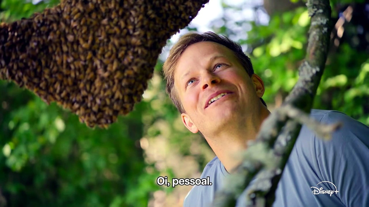 Segredos das Abelhas| Trailer Oficial | National Geographic