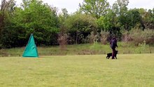 MVI_3197