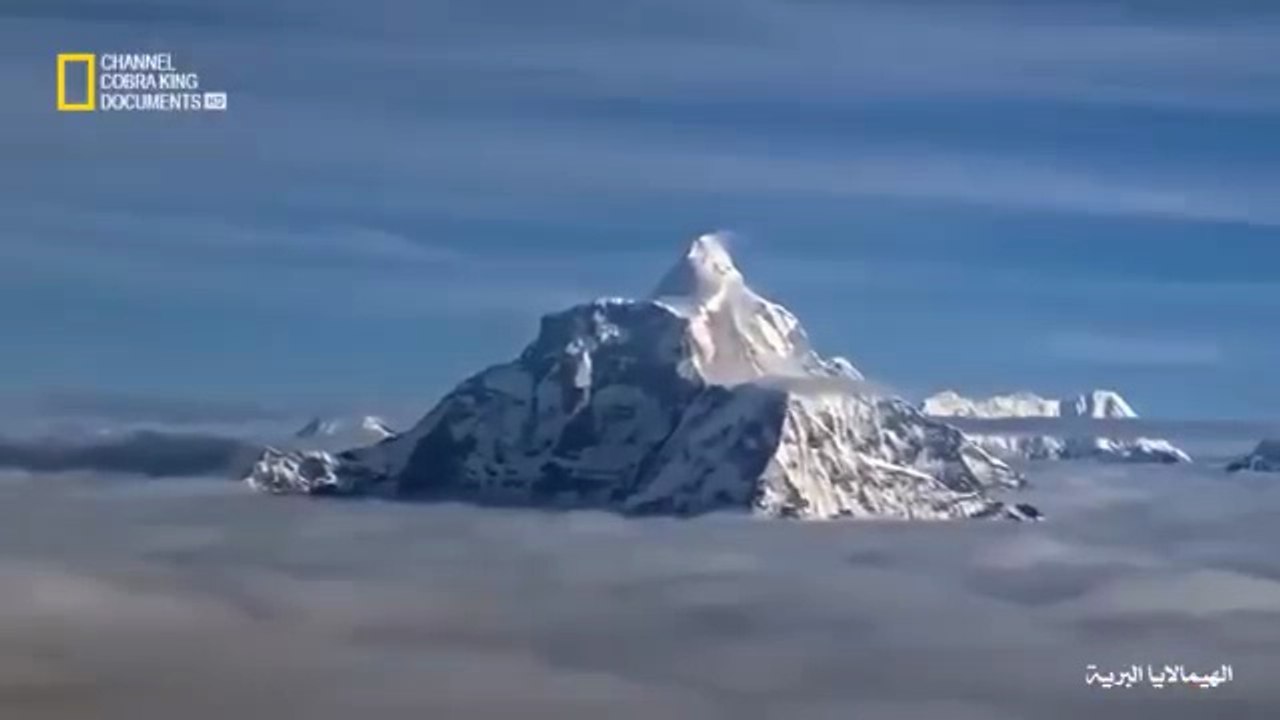 الهيمالايا البرية.02