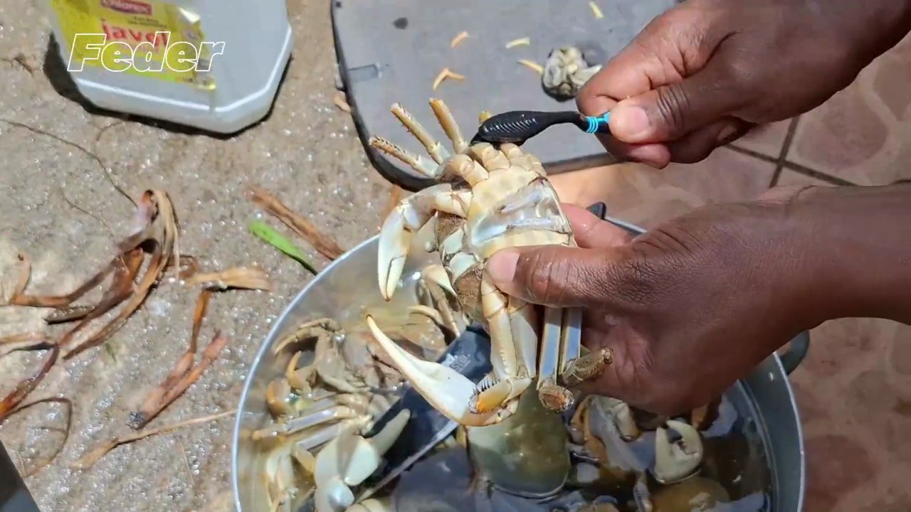 Gastronomie nettoyage des crabes 🦀