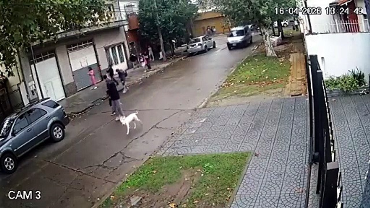 Así fue el momento en el cual la adolescente de 14 años apuñaló cuatro veces a su novio de 16 en San Martín