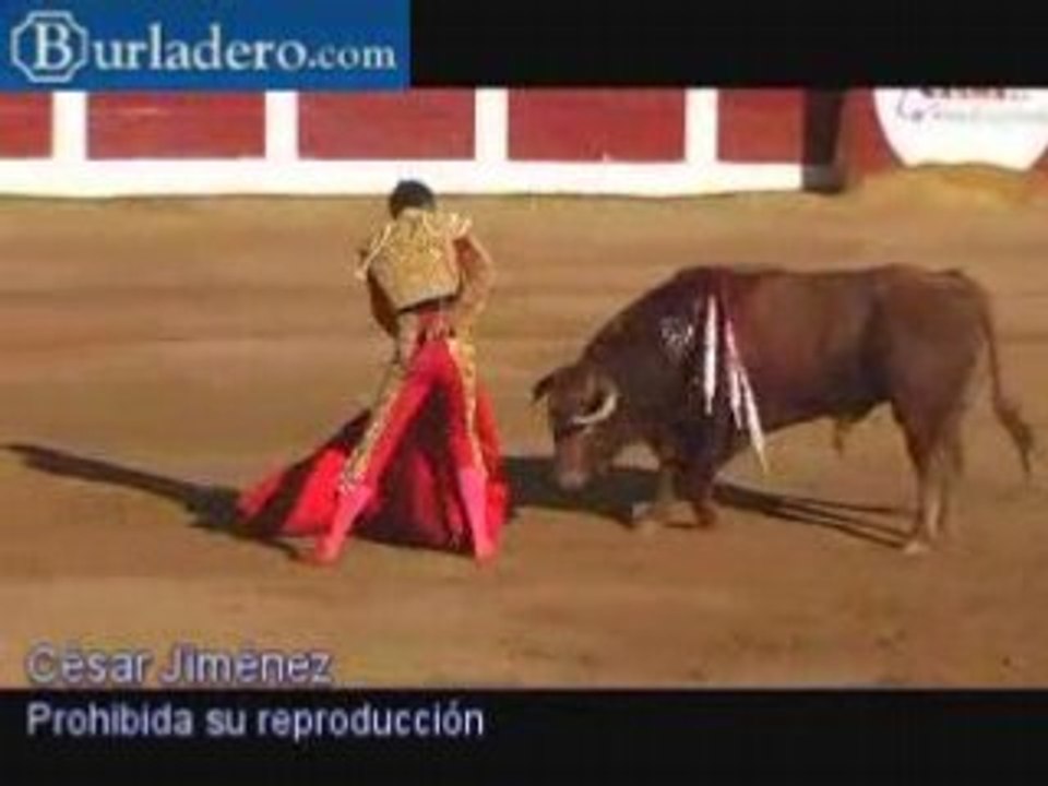 Plasencia, 8 Julio