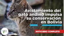 Avistamiento del gato andino impulsa su conservación en Bolivia | 856 | 20 al 26 de abril de 2026