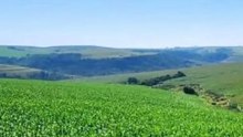 FAZENDA COM 565 ALQUEIRÃO VENDA CMC