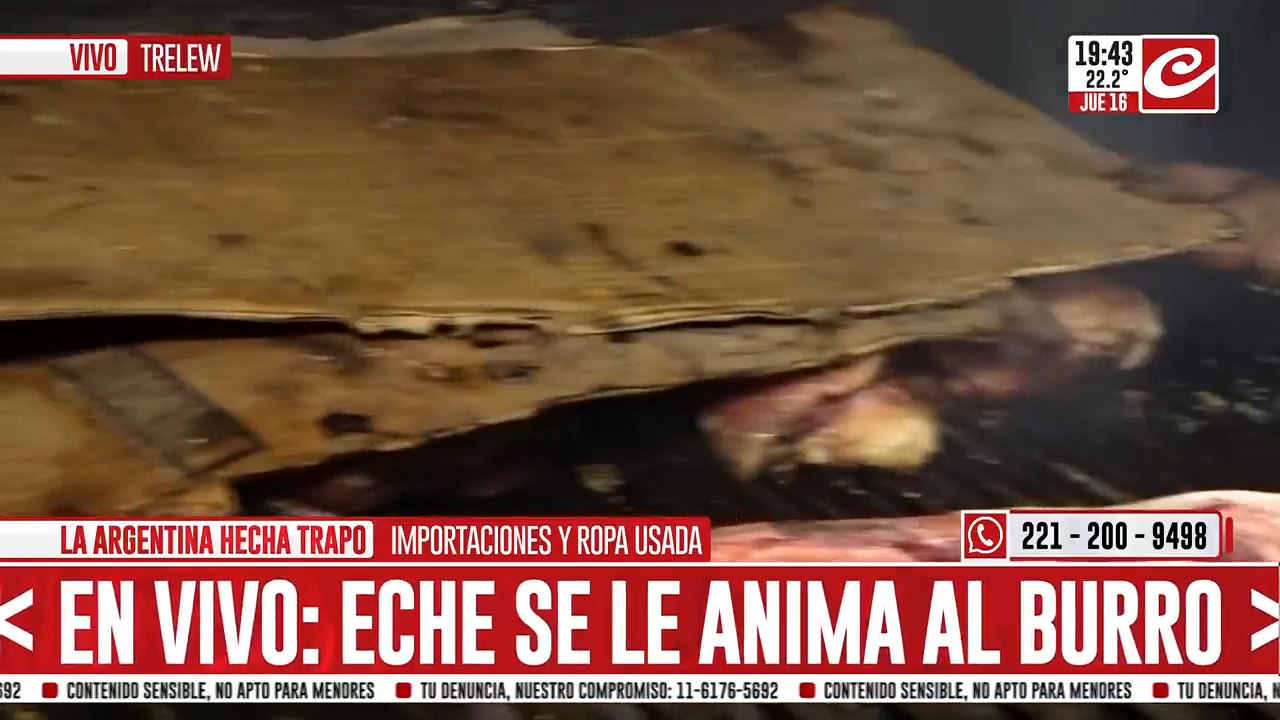 burro