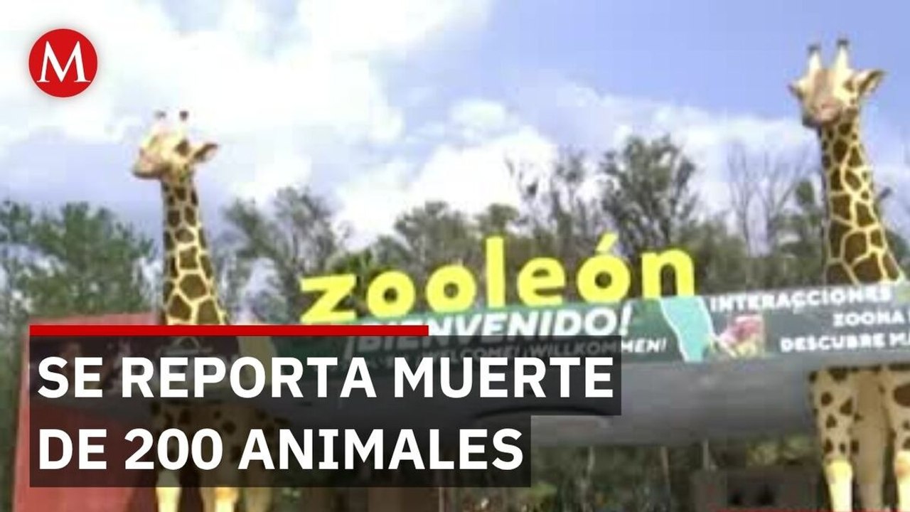 Descubren que el Zoológico de León no registraba ni nacimientos ni defunciones de las especies