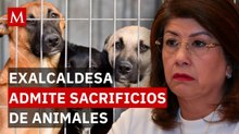 Exigen justicia: caso de maltrato animal vincula a exalcaldesa de Tecámac