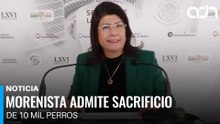 Senadora admite sacrificio de 10 mil perros bajo su presidencia municipal en Tecámac