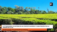 EL TÉ MISIONERO SE SOSTIENE EN UN CONTEXTO ADVERSO Y SUMA PRESIÓN POR LA DEMORA EN EL IVA