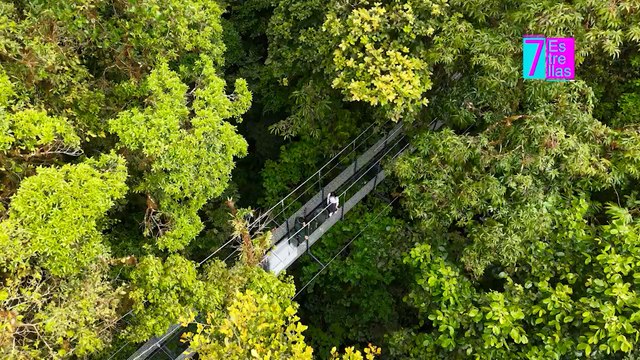 7est-monteverde-estrena-el-primer-puente-colgante-de-vidrio-en-costa-rica-160426