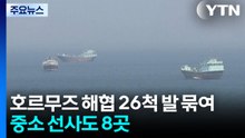 호르무즈 해협 갇힌 26척...벼랑 끝 몰린 중소선사들 / YTN