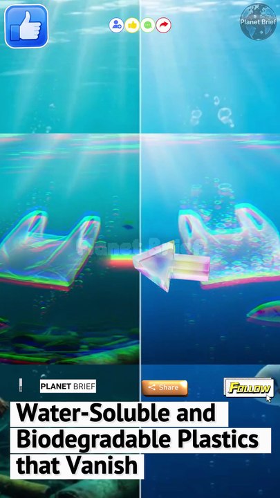 Japan's Scientists Created Water-Soluble and Biodegradable Plastics that Vanish in the Marine Ecosystem without a Trace