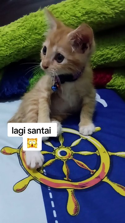 Si bubu lagi santai