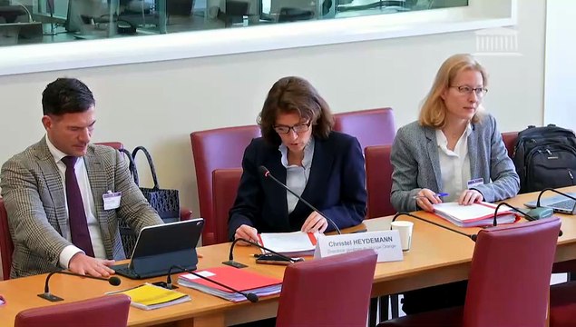 Vulnérabilités systémiques dans le secteur du numérique : Mme Christel Heydemann, directrice générale du groupe Orange - Jeudi 16 avril 2026