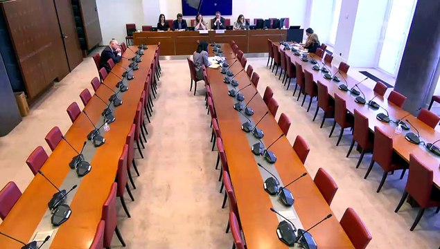 Vulnérabilités systémiques dans le secteur du numérique : Mme Maya Noël, directrice générale de France Digitale - Jeudi 16 avril 2026