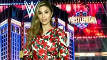 WWE anchor Cathy Kelley Biography