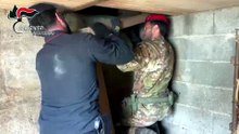 Una piantagione di marijuana in un bunker isolato nelle campagne di Platì VIDEO
