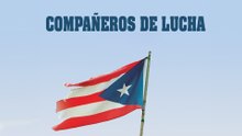 Comp añeros De Lucha_En Español
