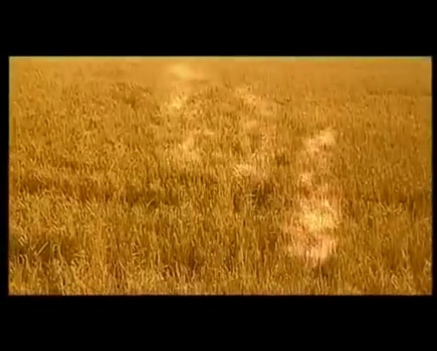 Prinz Goldkörnchen Film deutsch