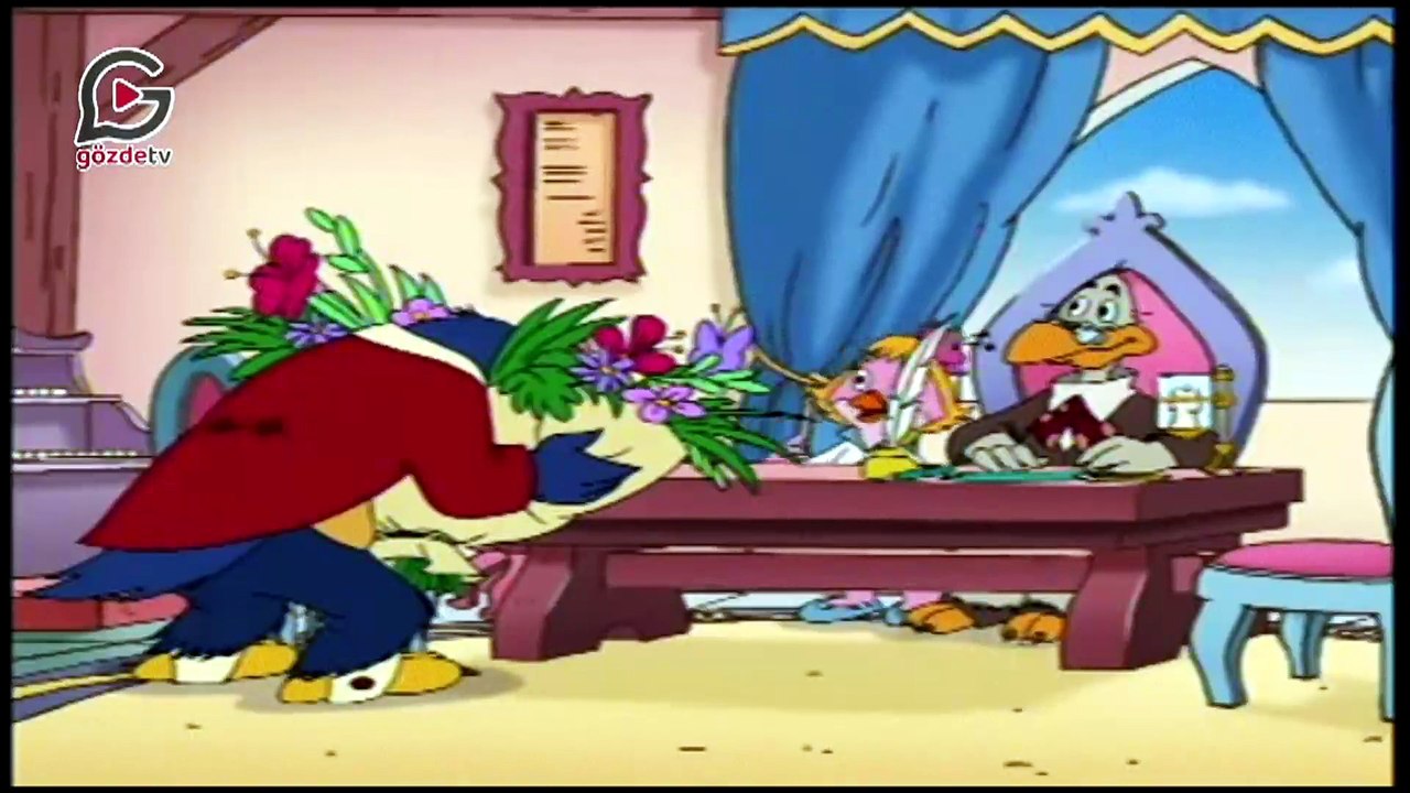 Marco Ve Gina 11