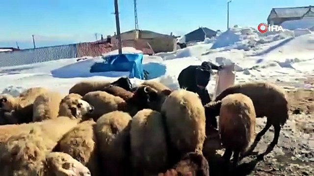 Nisan ayında 3 metrelik kar şoku: Bu mahalle tüm evler adeta kara gömüldü!