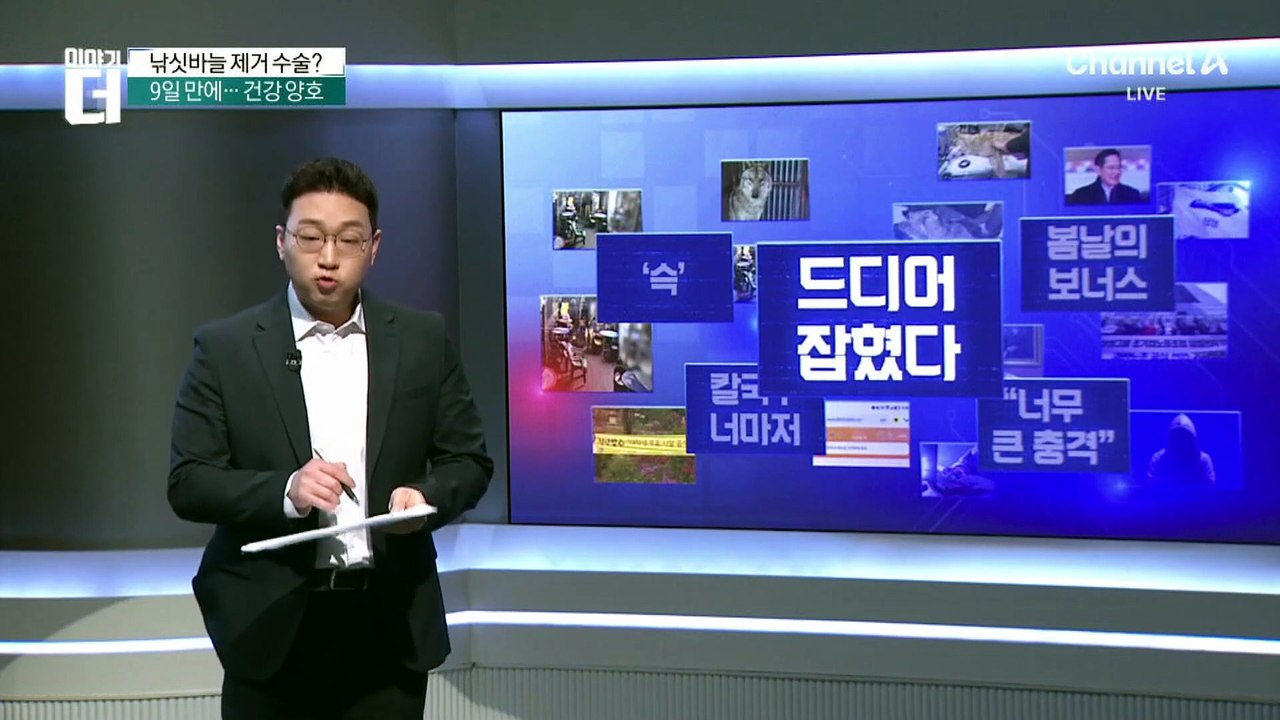 9일 만의 귀환…탈출 늑대 ‘늑구’ 오늘 새벽 무사 포획