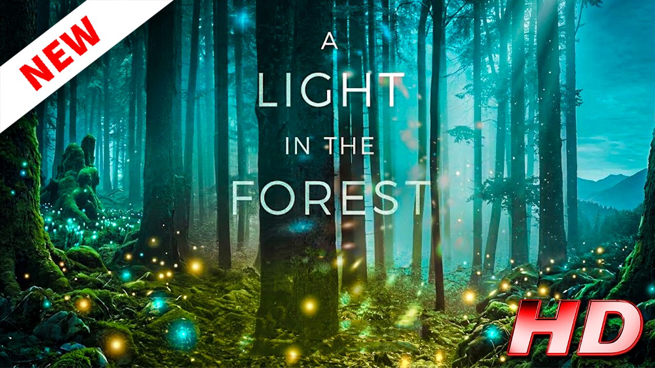 A Light In The Forest