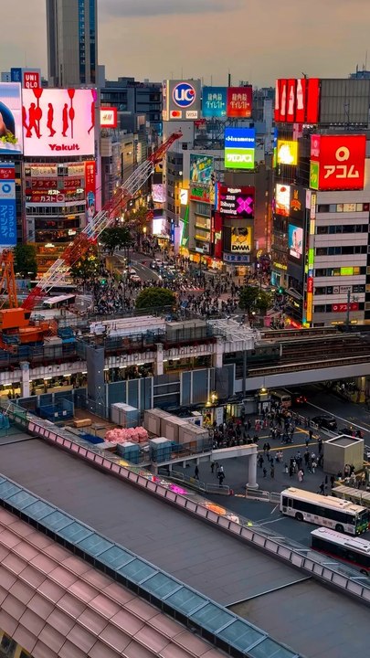 Vue sur le Shibuya Crossing, Tokyo, Japon