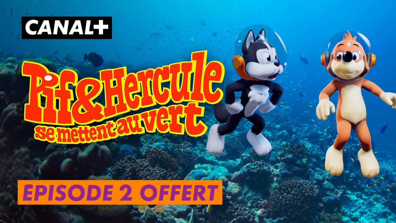 Pif et Hercule se mettent au vert - Le plastique & les tortues de mer - Épisode offert - CANAL+ Kids