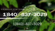 《FINAL GUIDE》 Coinbase® CUSTOMER© CAre℗ Phone Number (OfficiAl)in finance1[840}↝837↝3029 (2)