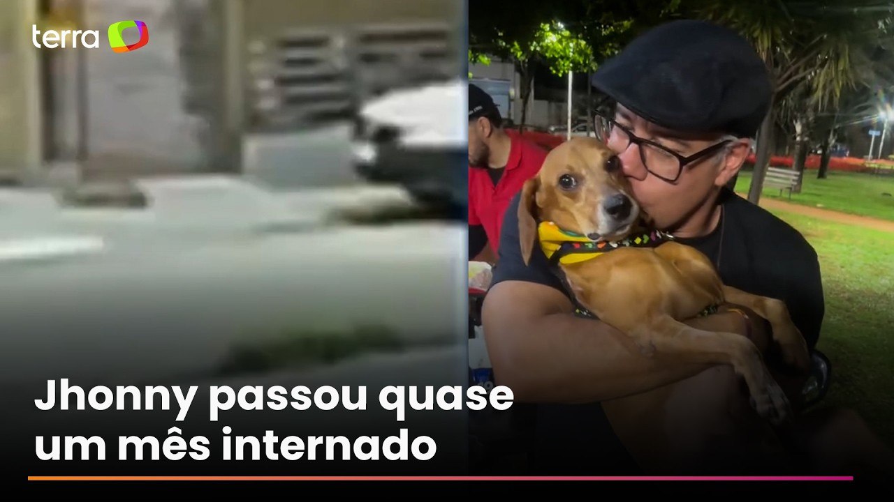 Cachorro que teve 40% do corpo queimado em GO aparece bem e recebendo carinho em novas imagens