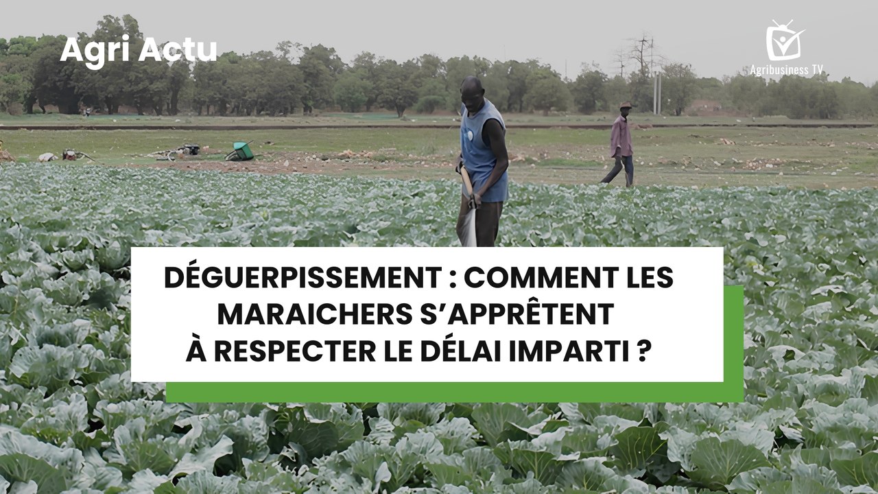 Déguerpissement : Comment les maraichers s’apprêtent à respecter le délai imparti ?