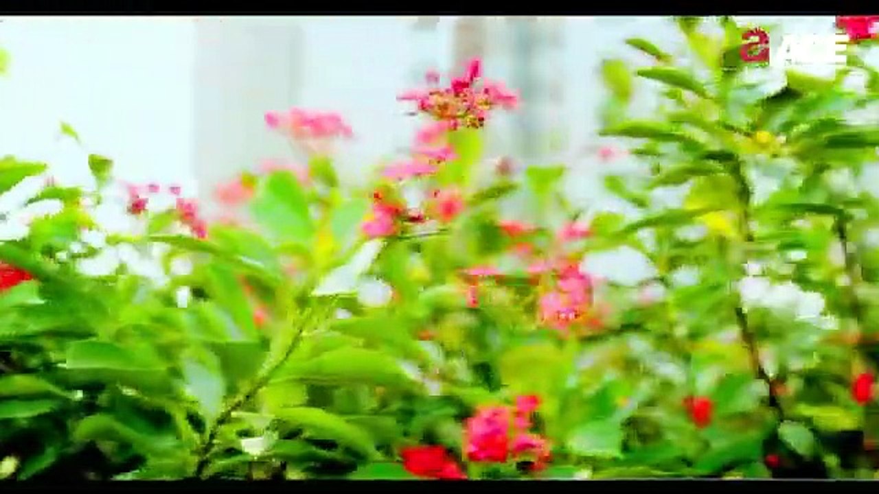 Premium Living Space at ACE Parkway | Projects in Sector 150 Noida #ModernFacilities #Comfort