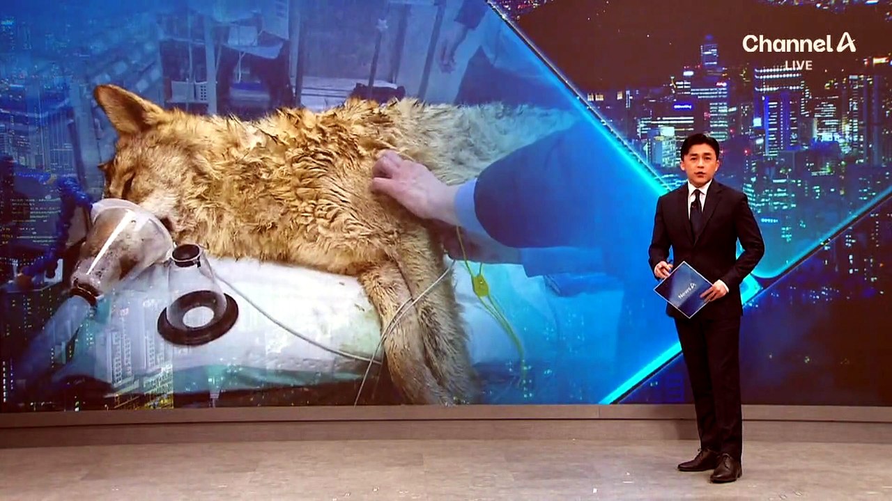 韓 유조선, 호르무즈 봉쇄 후 첫 홍해 통과…원유 수송 재개