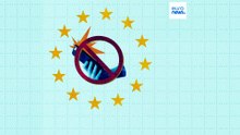 Какие европейские страны хотят запретить социальные сети для несовершеннолетних?
