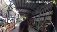 "Pare!" Furta mala de idosa e é detida por polícia a cavalo nos EUA