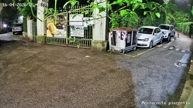 Cani pastori cecoslovacchi liberi in zona San Mamolo. I residenti: «Senza padroni sono aggressivi, il Comune intervenga»