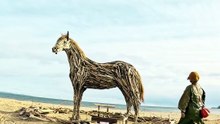 Est-ce vivant?! Driftwood Horse 🐎【本物!?】流木の馬と着物👘