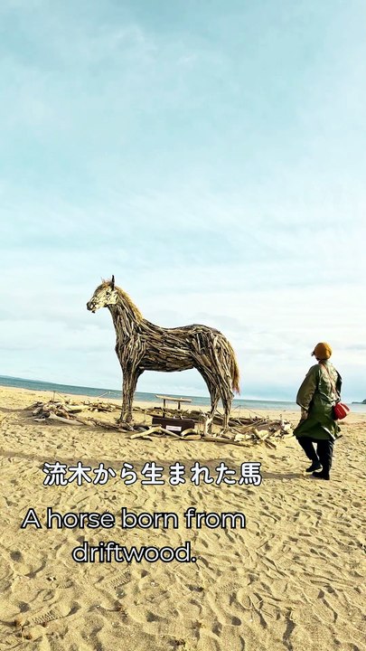 Est-ce vivant?! Driftwood Horse 🐎【本物!?】流木の馬と着物👘