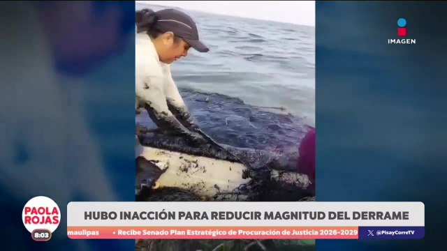 Ducto de Pemex provocó el derrame de crudo en el Golfo de México | DPC con Paola Rojas