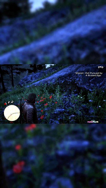 Arthur’s Rabbit Hunt RDR2 Mission Exit Pursued by a Bruised Ego