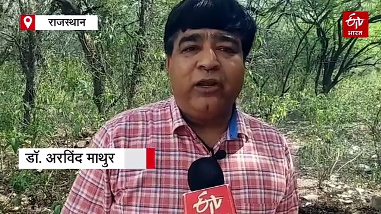 वन्यजीवों के लिए गर्मी में खास इंतजाम: नाहरगढ़ पार्क में लगाए फव्वारें और रेन गन, डाइट भी बदली, जानिए खुराक और रहन-सहन