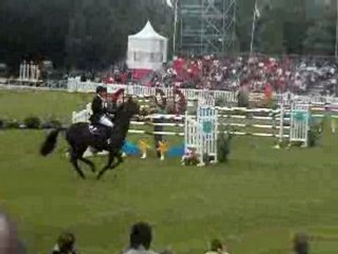 Ivan Delton &Watch Me (Irlande) Jumping de Franconville 2008