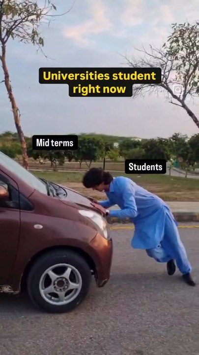 Fact 🤣