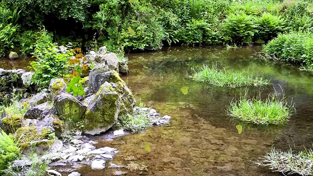 Soft Chimes and Wind – Relaxing Instrumental for Inner Harmony