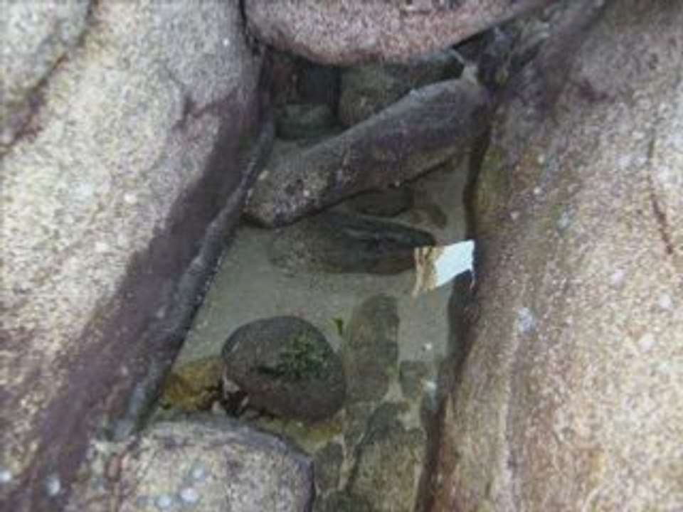 Plouescat la mer octobre 2007