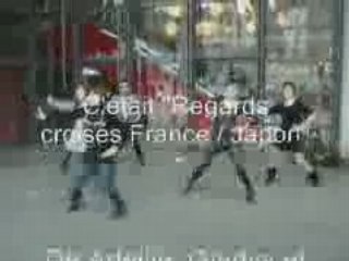 Regards croisés France Japon