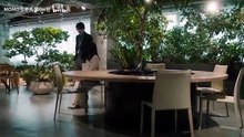 【中字】那一夜，我怀上了社长的孩子 EP01「命运开始转动的夜晚」